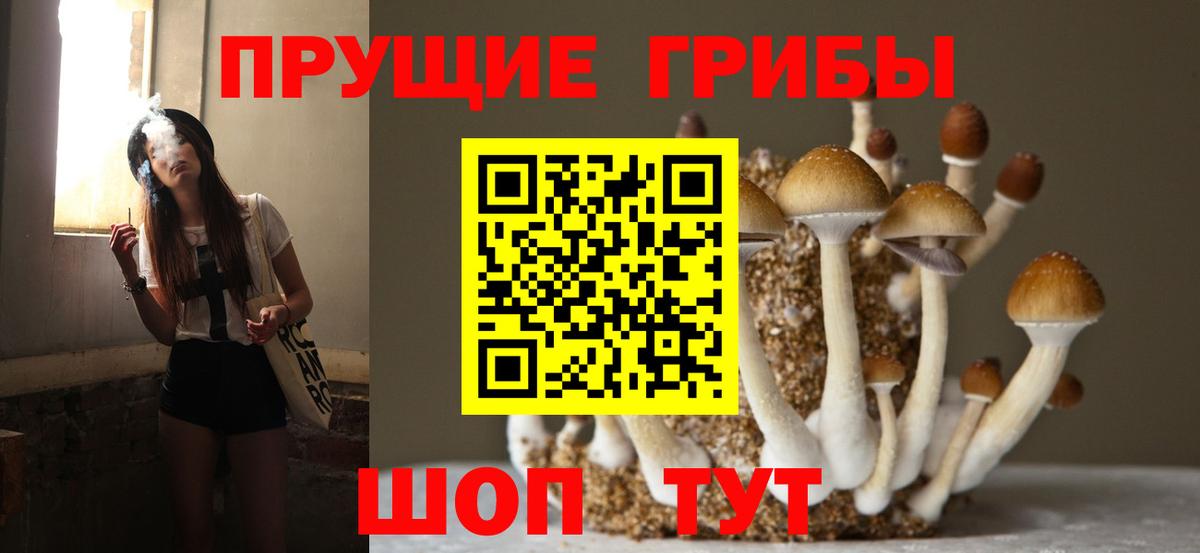 Псилоцибиновые грибы Magic Shrooms  Вход с VPN  Люберцы 